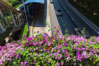 EA高管资料显示《圣歌》首周销量200万份 总销量500万份